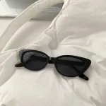 Premium Stylish Eyeglasses